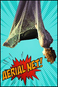 Aerial Net